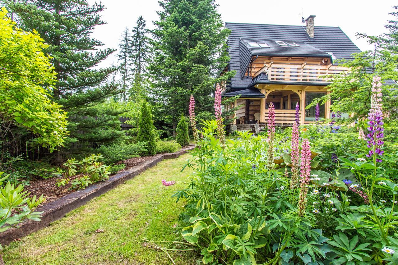 Apartamenty Bialy Potok Witów 외부 사진